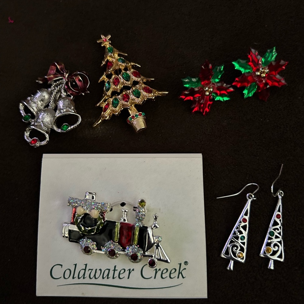 Christmas pins and earrings